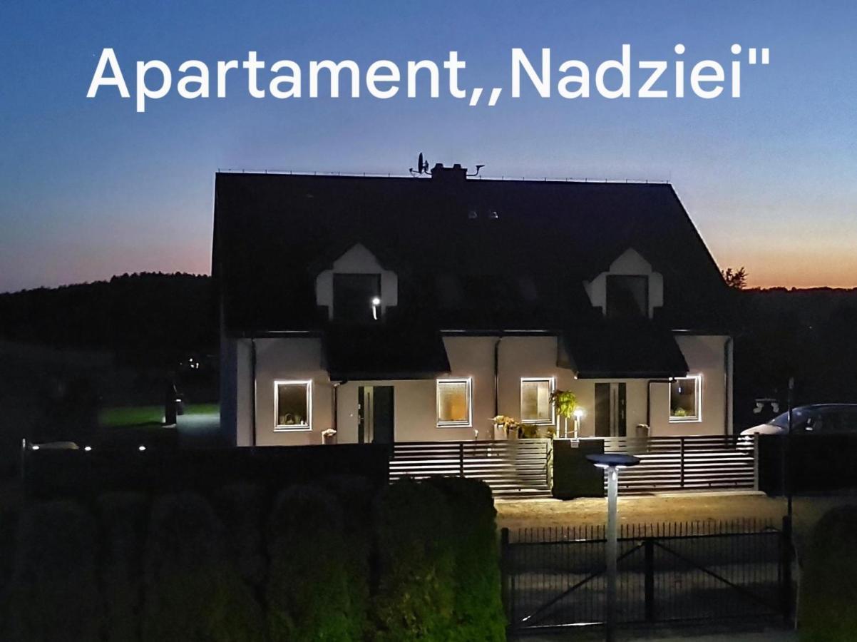 Apartament Nadziei 흐미엘노 외부 사진
