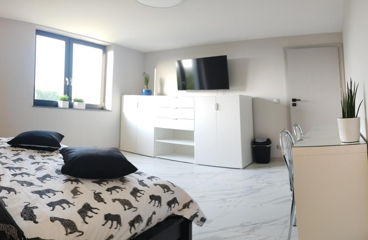 Apartament Nadziei 흐미엘노 외부 사진