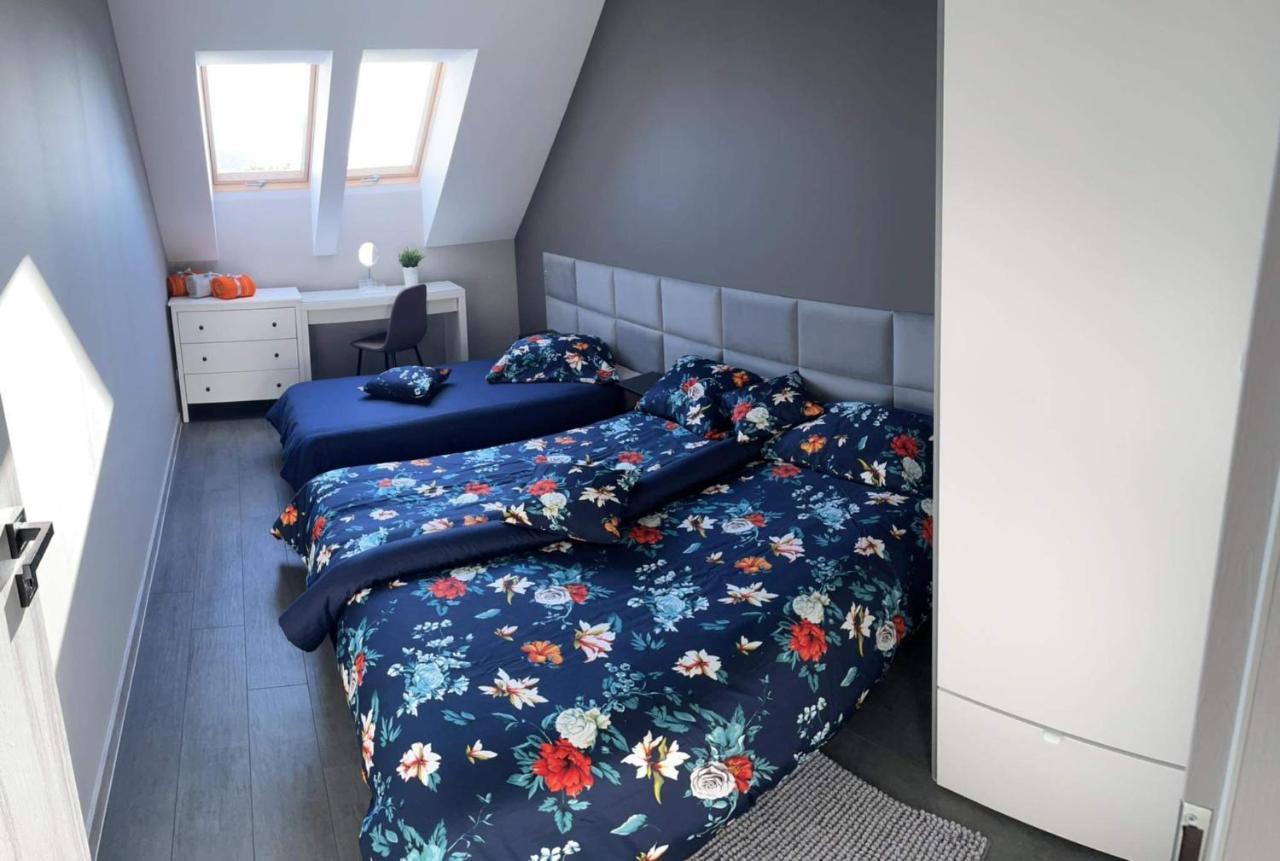 Apartament Nadziei 흐미엘노 외부 사진